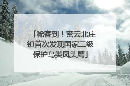 稀客到！密云北庄镇首次发现国家二级保护鸟类凤头鹰
