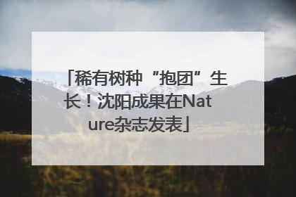 稀有树种“抱团”生长！沈阳成果在Nature杂志发表