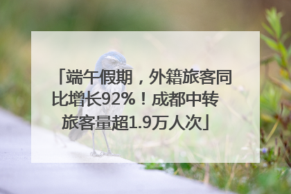 端午假期，外籍旅客同比增长92%！成都中转旅客量超1.9万人次