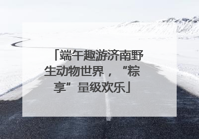 端午趣游济南野生动物世界，“粽享”量级欢乐