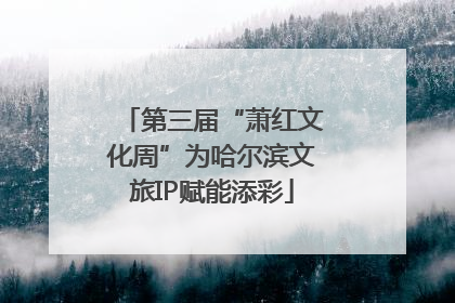 第三届“萧红文化周”为哈尔滨文旅IP赋能添彩