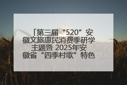 第三届“520”安徽文旅惠民消费季研学主题暨 2025年安徽省“四季村歌”特色展演燃动池州