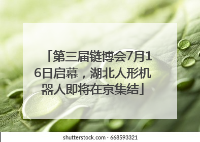 第三届链博会7月16日启幕，湖北人形机器人即将在京集结