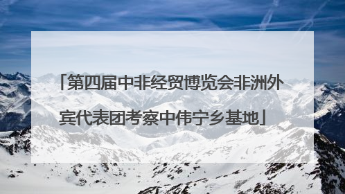 第四届中非经贸博览会非洲外宾代表团考察中伟宁乡基地