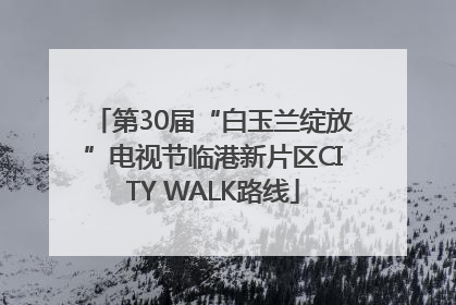 第30届“白玉兰绽放”电视节临港新片区CITY WALK路线