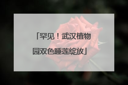 罕见！武汉植物园双色睡莲绽放