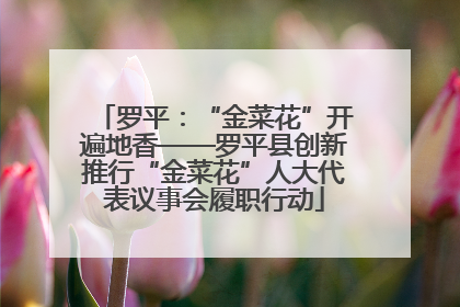 罗平：“金菜花”开遍地香——罗平县创新推行“金菜花”人大代表议事会履职行动