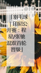 羽毛球｜印尼公开赛：程星/张驰混双首轮晋级