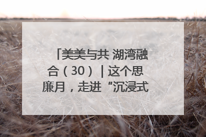美美与共 湖湾融合（30）｜这个思廉月，走进“沉浸式”清风课堂