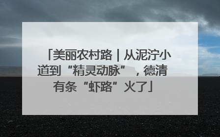 美丽农村路｜从泥泞小道到“精灵动脉”，德清有条“虾路”火了
