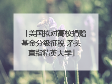 美国拟对高校捐赠基金分级征税 矛头直指精英大学