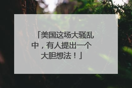 美国这场大骚乱中，有人提出一个大胆想法！