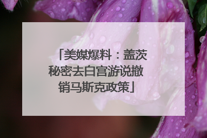 美媒爆料：盖茨秘密去白宫游说撤销马斯克政策