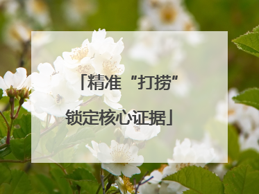 精准“打捞”锁定核心证据