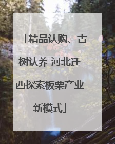 精品认购、古树认养 河北迁西探索板栗产业新模式