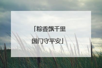 粽香飘千里 国门守平安