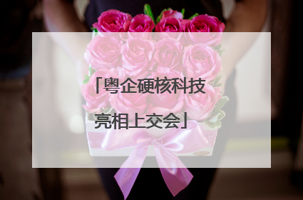 粤企硬核科技亮相上交会