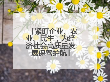 紧盯企业、农业、民生，为经济社会高质量发展保驾护航