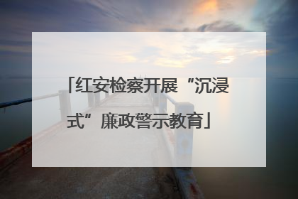 红安检察开展“沉浸式”廉政警示教育
