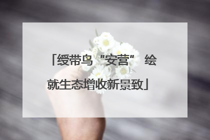 绶带鸟“安营” 绘就生态增收新景致