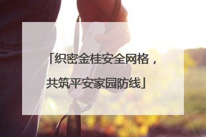 织密金桂安全网格，共筑平安家园防线