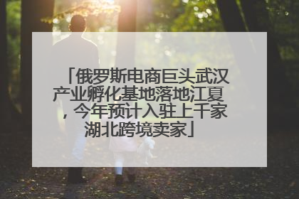 俄罗斯电商巨头武汉产业孵化基地落地江夏，今年预计入驻上千家湖北跨境卖家