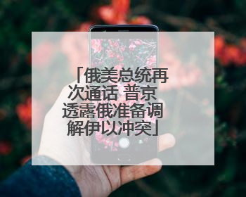 俄美总统再次通话 普京透露俄准备调解伊以冲突