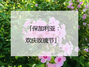 保加利亚：欢庆玫瑰节