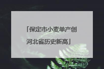 保定市小麦单产创河北省历史新高