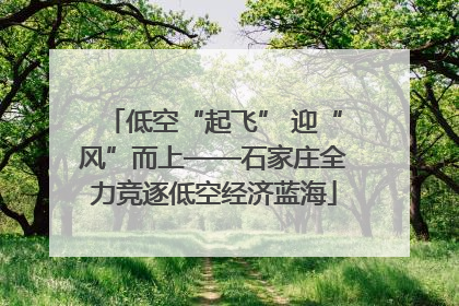低空“起飞” 迎“风”而上——石家庄全力竞逐低空经济蓝海