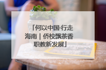 何以中国·行走海南｜侨校飘茶香 职教新发展