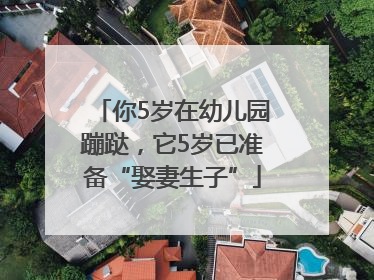 你5岁在幼儿园蹦跶，它5岁已准备“娶妻生子”