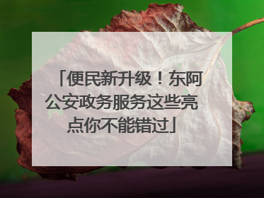 便民新升级！东阿公安政务服务这些亮点你不能错过