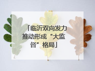 临沂双向发力推动形成“大监督”格局