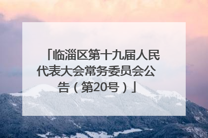 临淄区第十九届人民代表大会常务委员会公告（第20号）