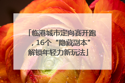 临港城市定向赛开跑，16个“隐藏副本”解锁年轻力新玩法