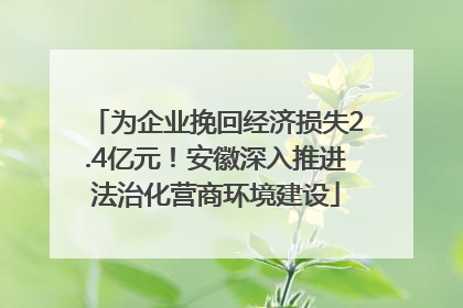 为企业挽回经济损失2.4亿元！安徽深入推进法治化营商环境建设
