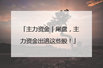 主力资金｜尾盘，主力资金出逃这些股！