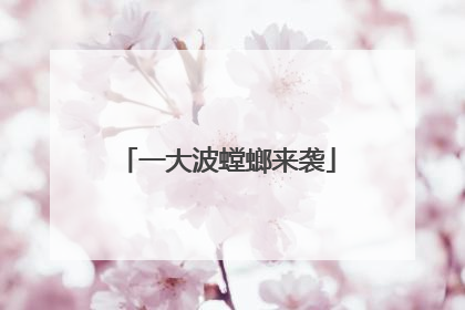 一大波螳螂来袭