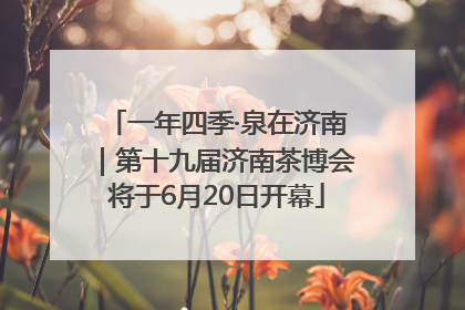 一年四季·泉在济南｜第十九届济南茶博会将于6月20日开幕