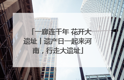 一廊连千年 花开大遗址丨遗产日一起来河南，行走大遗址