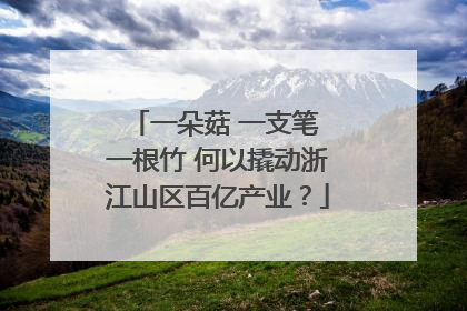 一朵菇 一支笔 一根竹 何以撬动浙江山区百亿产业？