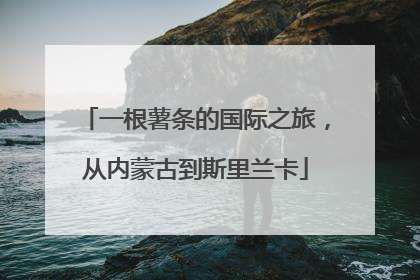 一根薯条的国际之旅，从内蒙古到斯里兰卡