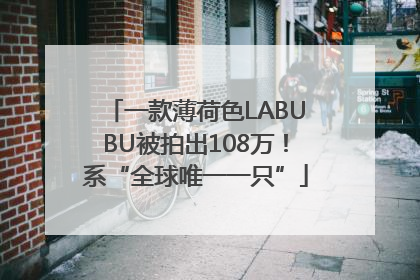 一款薄荷色LABUBU被拍出108万！系“全球唯一一只”