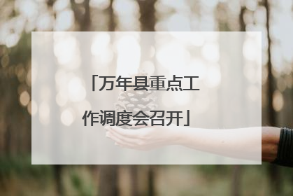 万年县重点工作调度会召开