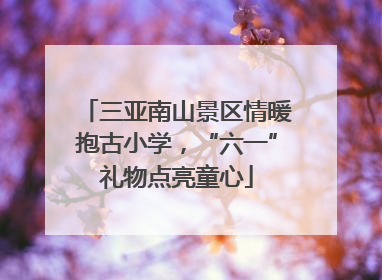 三亚南山景区情暖抱古小学，“六一”礼物点亮童心