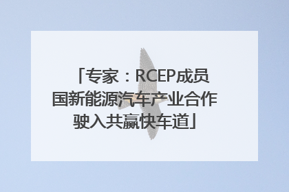 专家：RCEP成员国新能源汽车产业合作驶入共赢快车道
