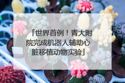 世界首例！青大附院完成机器人辅助心脏移植动物实验