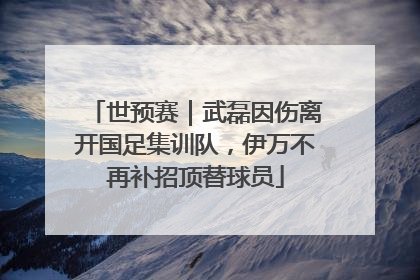世预赛｜武磊因伤离开国足集训队，伊万不再补招顶替球员