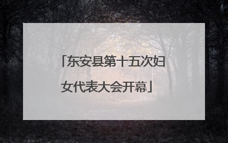 东安县第十五次妇女代表大会开幕